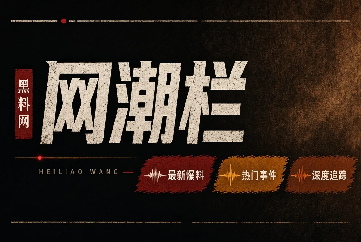 网浪栏内容生态